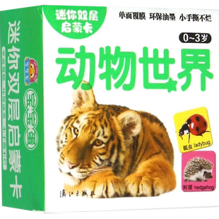 于清峰 求知欲书籍 正版 有效提高儿童 认知和学习规律而制作 立足于学龄前儿童 3岁 迷你双层启蒙卡：动物世界 书