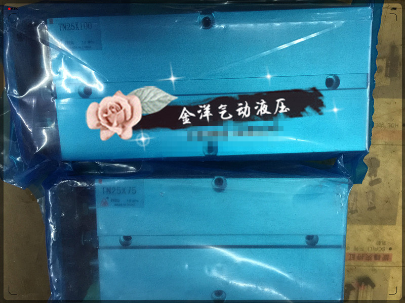 亚德客型双轴气缸TDA/TN10*10/20/25/30/35/40/50/60/70/80/100-S