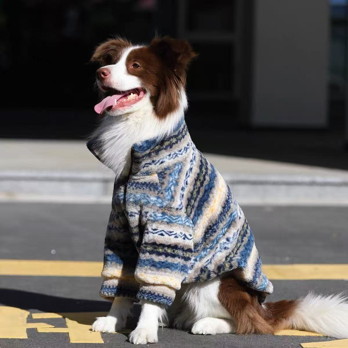 大型犬边牧金毛羊羔绒外套拉布拉多秋冬保暖拉链宠物冬装狗狗衣服