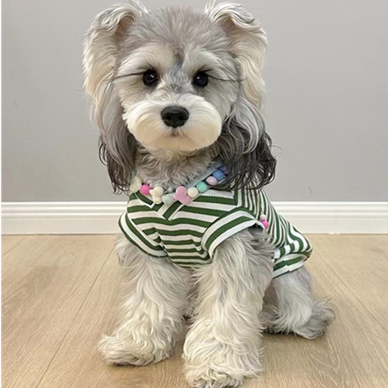 狗狗衣服V领背心纯棉弹力秋款雪纳瑞泰迪比熊小型犬宠物猫咪衣服