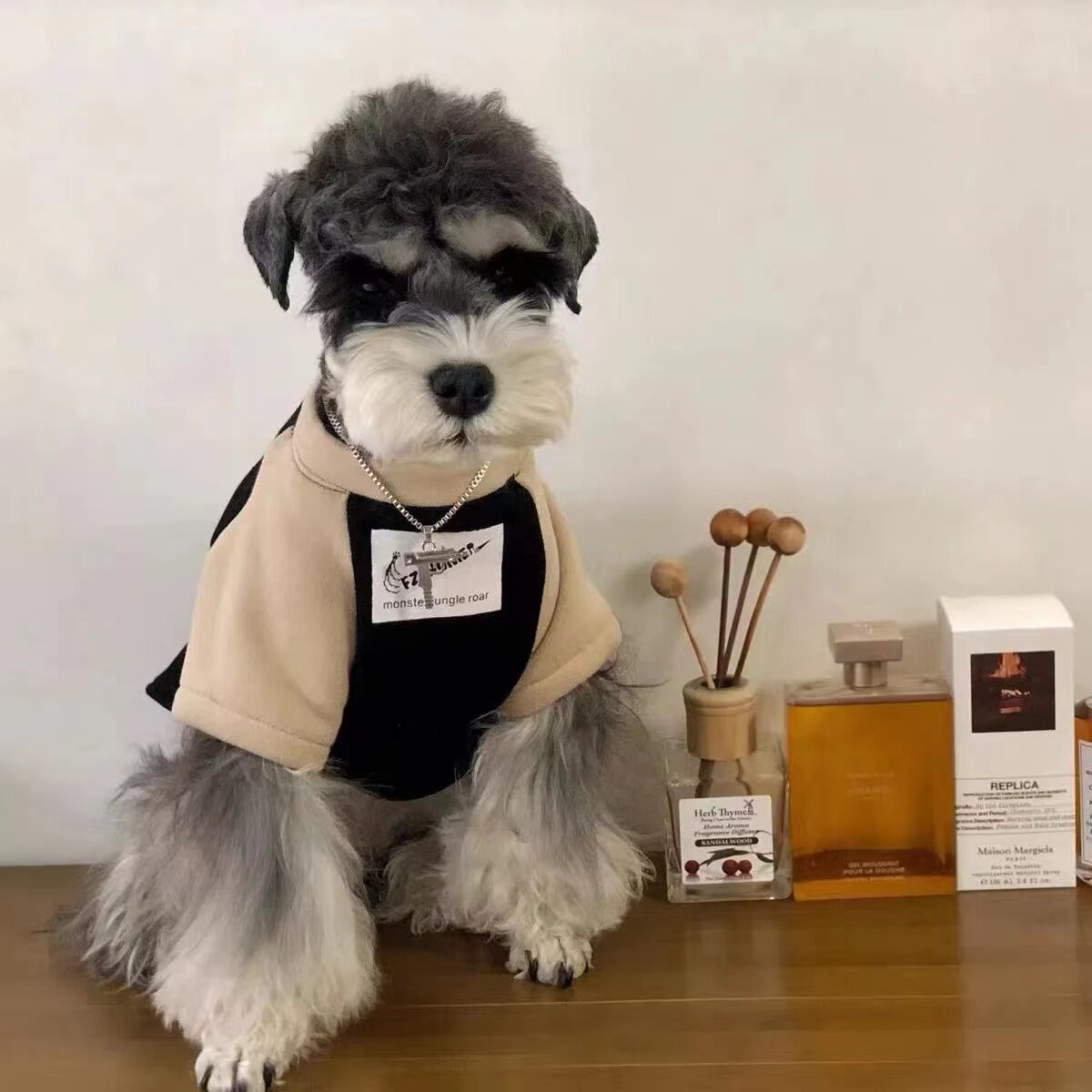 狗狗衣服冬季法斗雪纳瑞柯基柴犬泰迪比熊猫咪加绒保暖潮牌卫衣