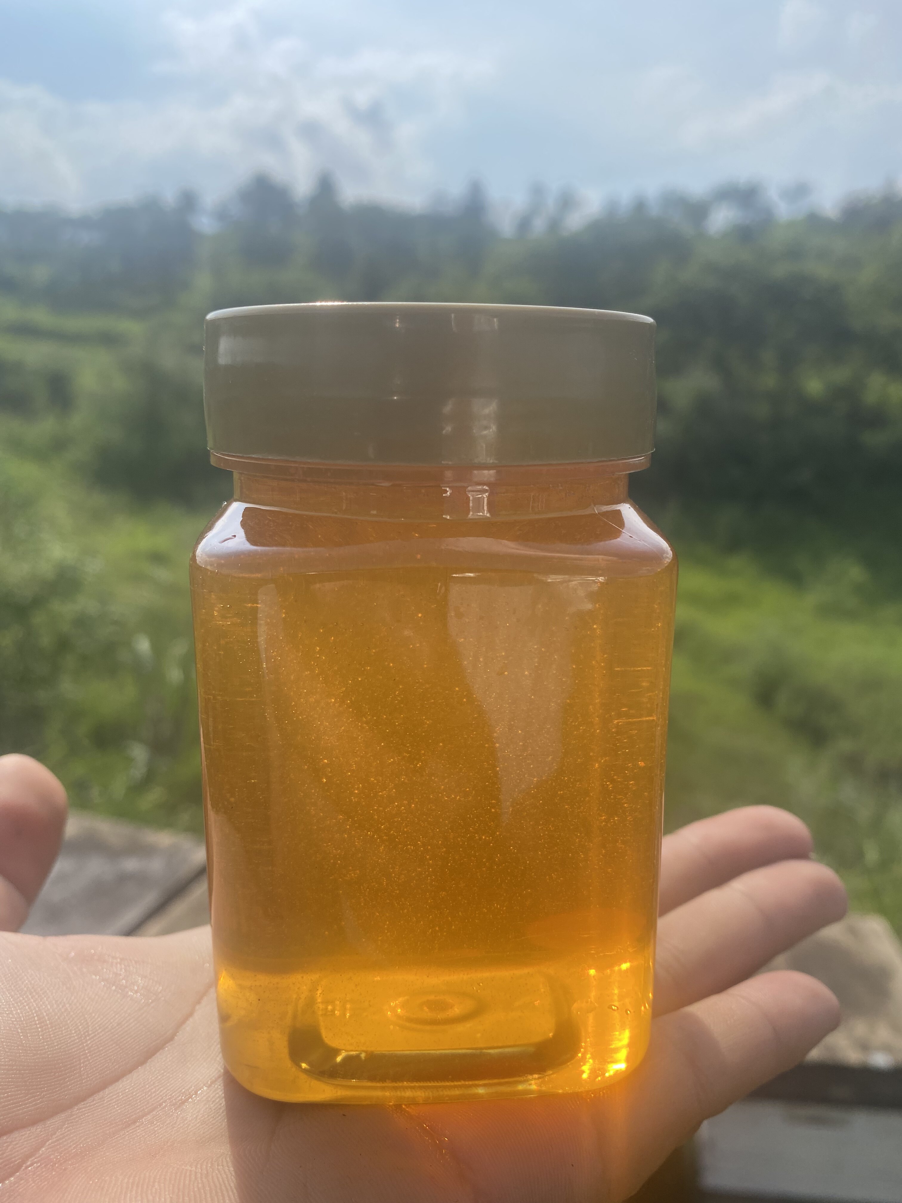 2026荆条花蜜 蜂农小伟 蜂场直销
