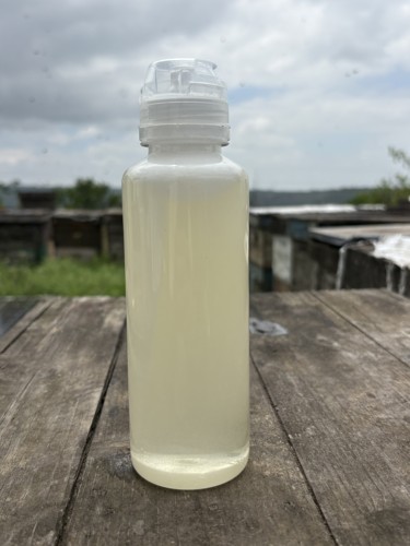 2026年槐花蜜 蜂场直销 蜂农小伟