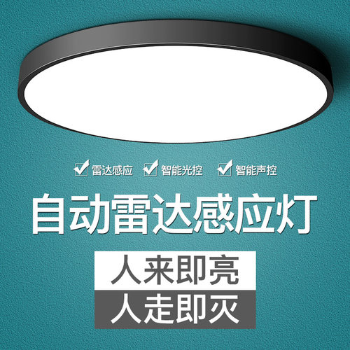 SuMai智能吸顶灯LED过道走廊灯具楼梯灯入户玄关声控灯雷达人体