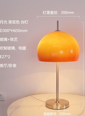 SuMai中古vintage钓鱼落地灯客厅沙发装饰氛围灯卧室别墅酒店立式
