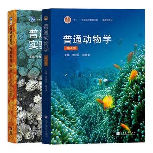 普通动物学第四版刘凌云第4版  郑光美 张雁云 普通动物学实验指导第四版 高等教育出版社 大学生物科学教材考研用书