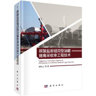 社 科学出版 碳酸盐岩缝洞型油藏提高采收率工程技术 刘中云等