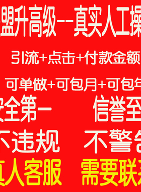 升高级高佣金淘客1000金额60人数点击7成交任务淘宝联盟安全升级