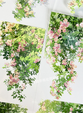 手帐分装胶带b001蔷薇摇曳世安工作室花朵古风PET素材账手机贴纸