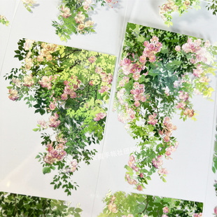 手帐分装胶带b001蔷薇摇曳世安工作室花朵古风PET素材账手机贴纸