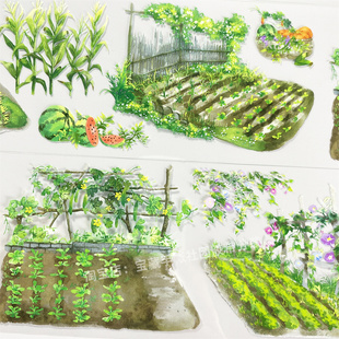 手帐分装胶带s47瓜棚豆架zero田园西南瓜PET古风素材账手机壳贴纸