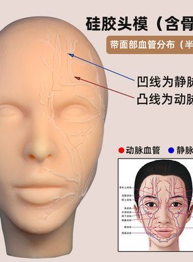 面部注射硅胶联系模型