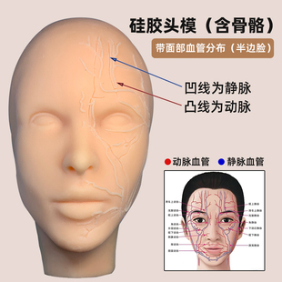 微整形线雕脸部神经血管注射缝合仿真面部美容软体硅胶人头模型