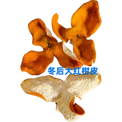 2025年新会老树圈枝茶枝柑 新柑皮二红大红青皮落地皮干皮包邮