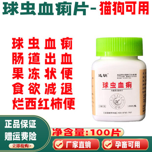 宠物球虫猫狗犬末端带血果冻状便兔用鸡牛羊烂西红柿粪便食欲减退