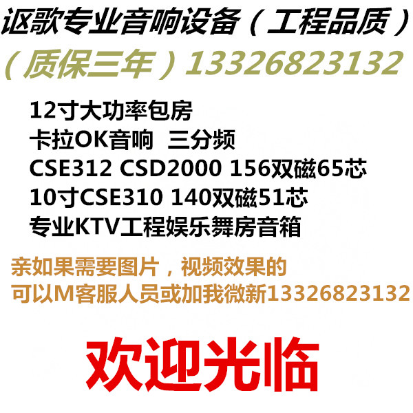 12寸娱乐演出k歌卡包音箱