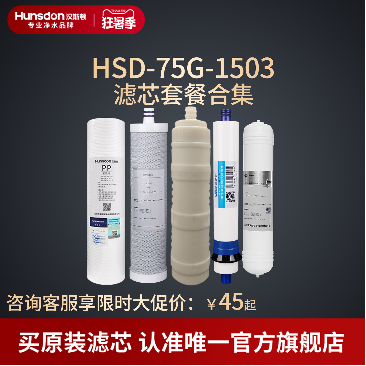汉斯顿家用净水器滤芯原厂原装正品HSD-75G-1503滤芯套餐合集
