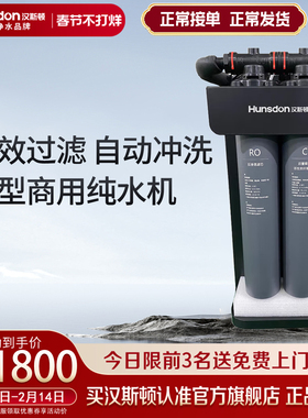 汉斯顿商用净水器ro反渗透直饮纯水机商用中央净水系统主机HR-M20