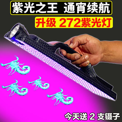 康量强光超亮可充电紫光照蝎子灯
