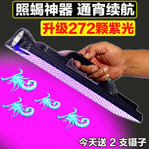 康量强光超亮可充电紫光照蝎子灯