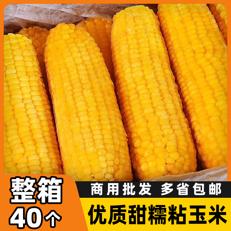 东北黄色甜糯玉米40根大箱批发