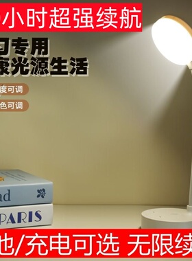 充电插电两用LED台灯可装干电池学生宿舍卧室床头灯书桌护眼台灯