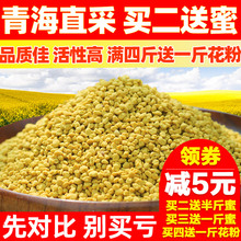 青海油菜花粉食用天然油菜花粉纯正蜂花粉前列腺正品500克未破壁