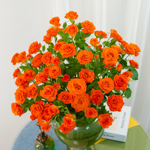 多头玫瑰橙芭比泡泡鲜花云南基地直发优质鲜花家庭水养鲜花