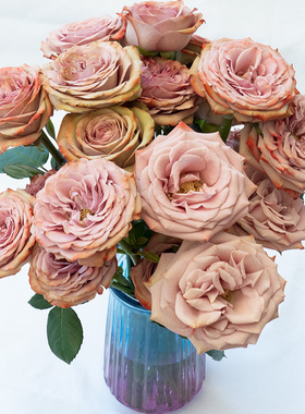 云南昆明鲜花基地直发卡布奇诺火灵鸟红玫瑰斗南家庭水养鲜切花材