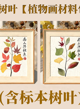 秋天叶子彩色落叶装饰画摆件材料