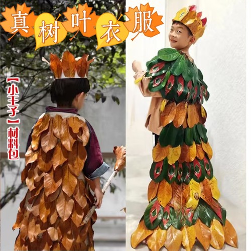 黄绿树叶落叶制衣孔雀公主小王子