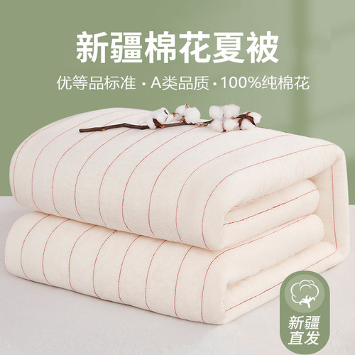 【优等品】新疆棉花夏被全棉薄款