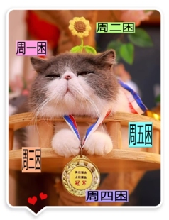 宠物营养补铁预防应激缓解紧张皮肤