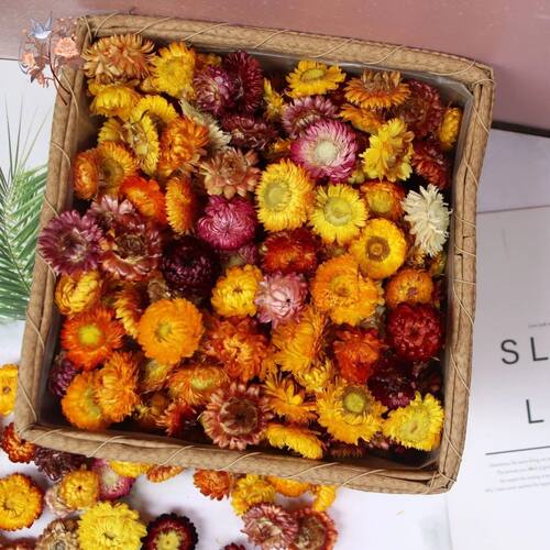 100Pcs Daisy Dried Natural Sunflower Dry Straw Chrysanthemum