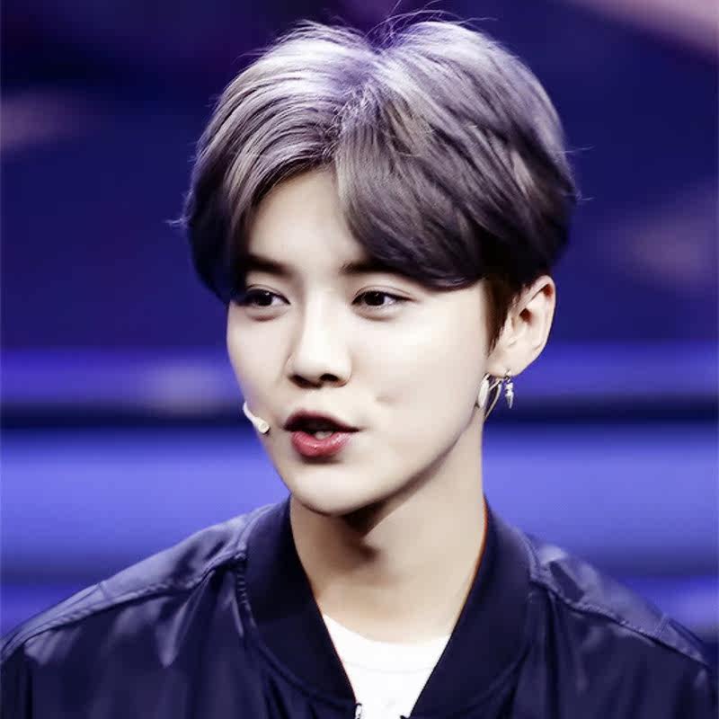 Perruque cheveux raides Court - Ref 2608326 Image 1