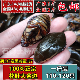 正宗大金边龙虱新鲜速冻大濑尿龟水蟑螂水甲虫水鳖虫顺丰全国包邮