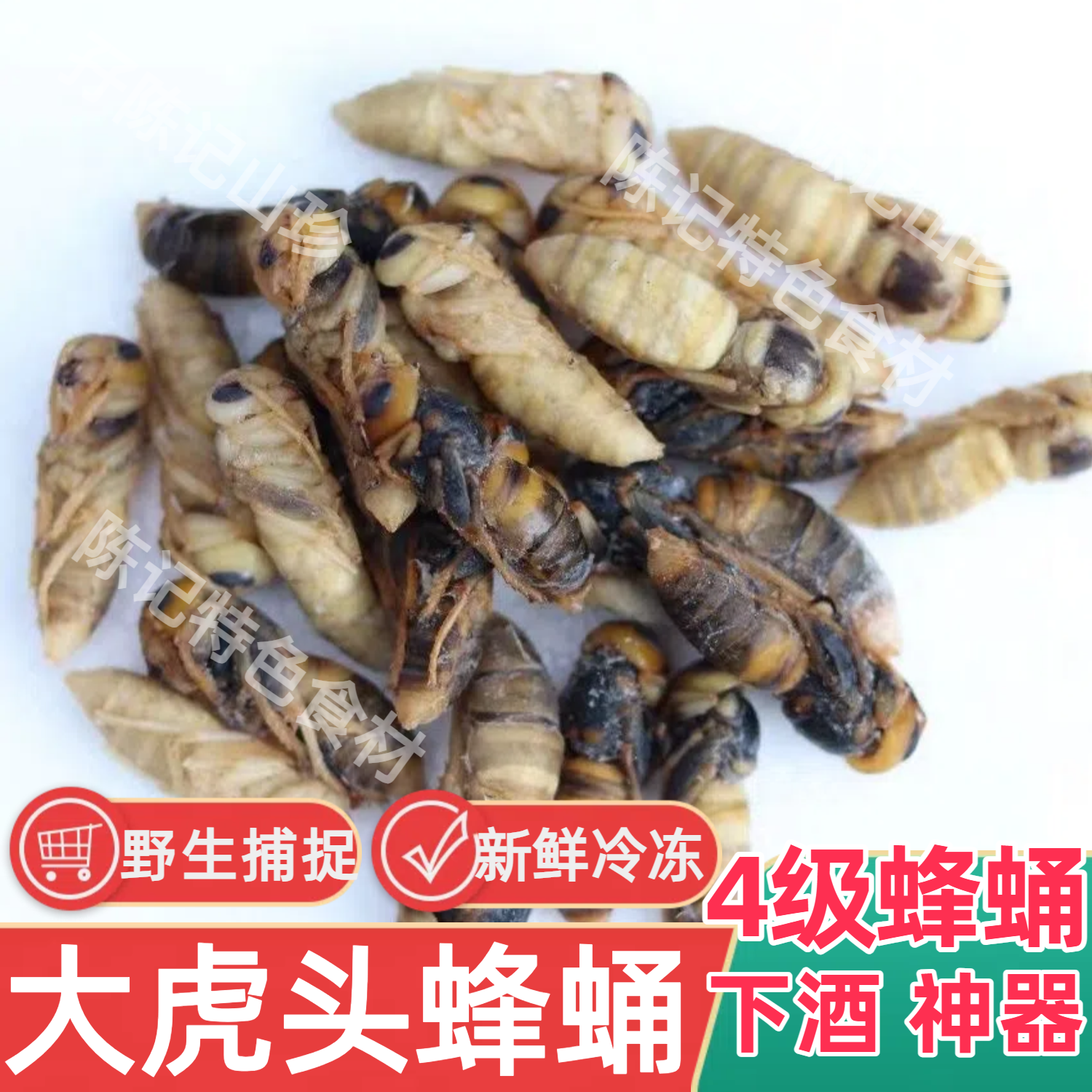正宗新鲜冷冻虎头蜂4级蜂蛹大土蜂黄蜂金环虎头蜂黑尾蜂蛹蜂儿子