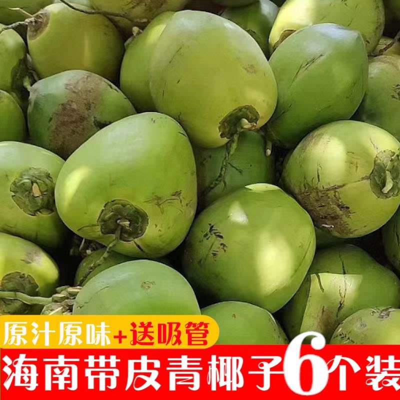 海南椰子带皮新鲜椰青六个装 孕椰青