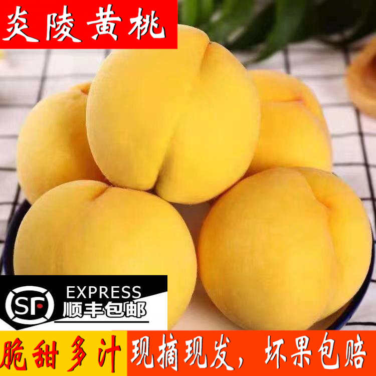 湖南正宗炎陵黄桃当季新鲜水果9斤现摘现发甜脆红心桃子顺丰包邮