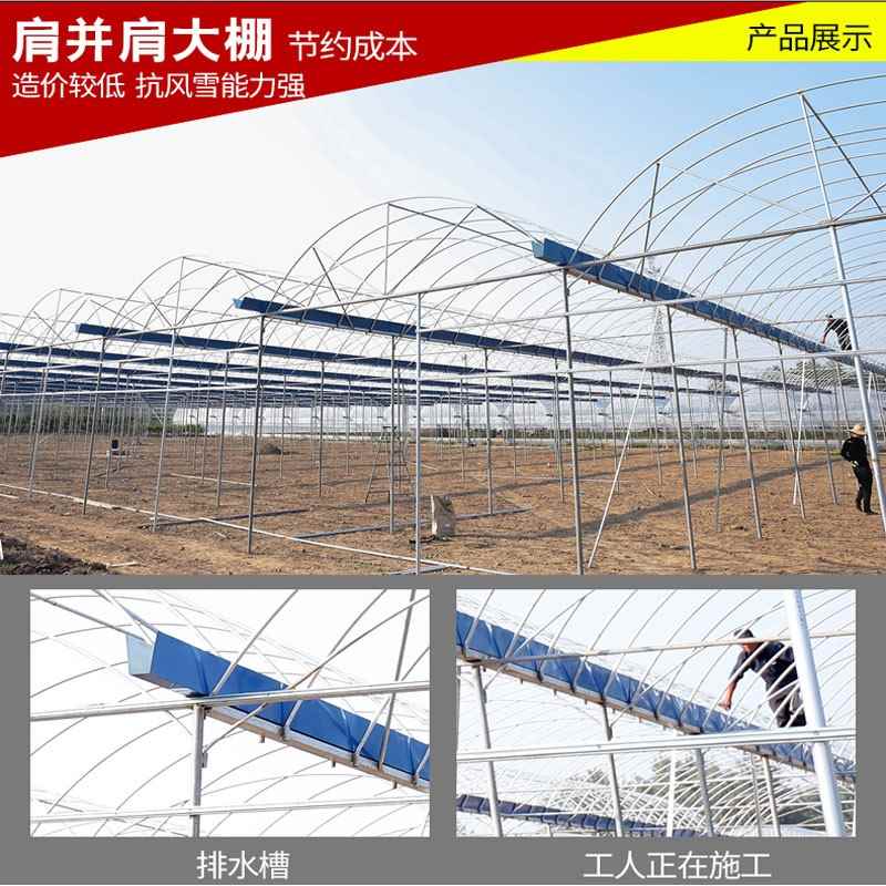 大棚骨架钢管连体连栋温室大棚蔬菜种植棚养殖大棚迷你钢架棚配件|ruв категории доставка цветов/цветок моделирования/растения садоводства, садовых принадлежностей, других садовых принадлежностей - от Buy2taobao.com для оказания профессиональной услуги покупки агента Taobao