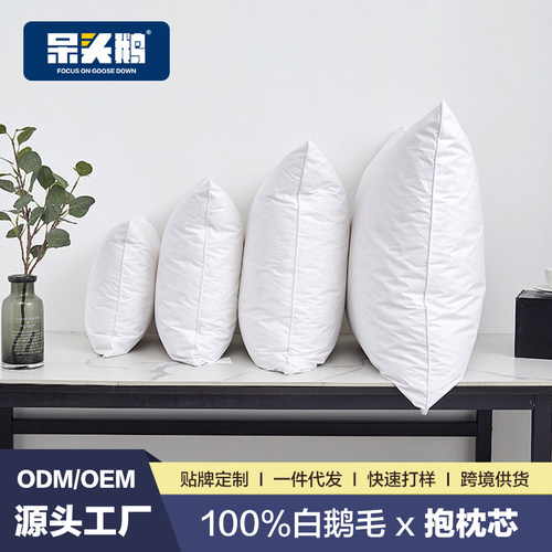 白鹅毛羽绒抱枕芯羽毛靠垫芯靠枕