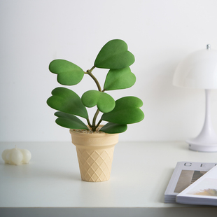 心叶球兰有趣多肉植物耐旱新手好养垂吊室内阳台盆栽绿植桌面摆件