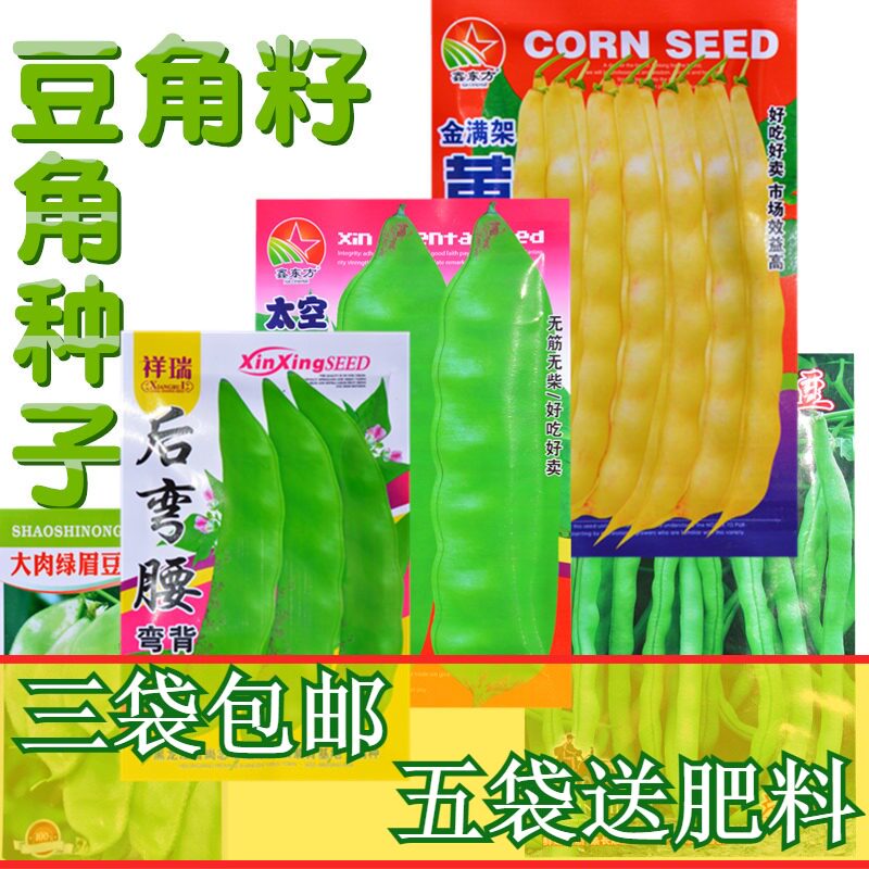 豆角籽东北大小油豆角种子黄金钩后弯腰一点红绿眉豆地豆架豆种子