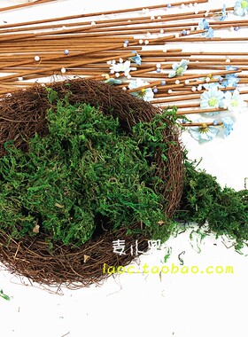 新品鲜活青苔微景观苔藓绿色植物干水苔幼儿园手工制作diy材料50g