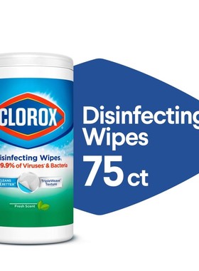 美国进口高乐氏湿巾消毒杀菌去污Clorox Disinfecting Wipes