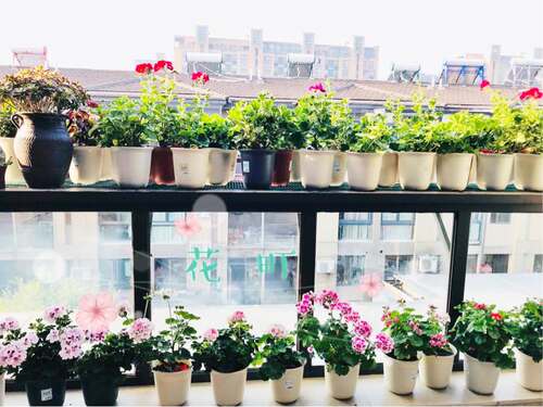 爱丽思仿陶瓷树脂花盆小号塑料