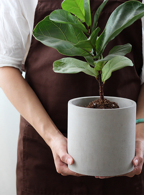北欧简约水泥花盆多肉陶瓷盆栽圆柱形透气陶盆大号琴叶榕带托盘
