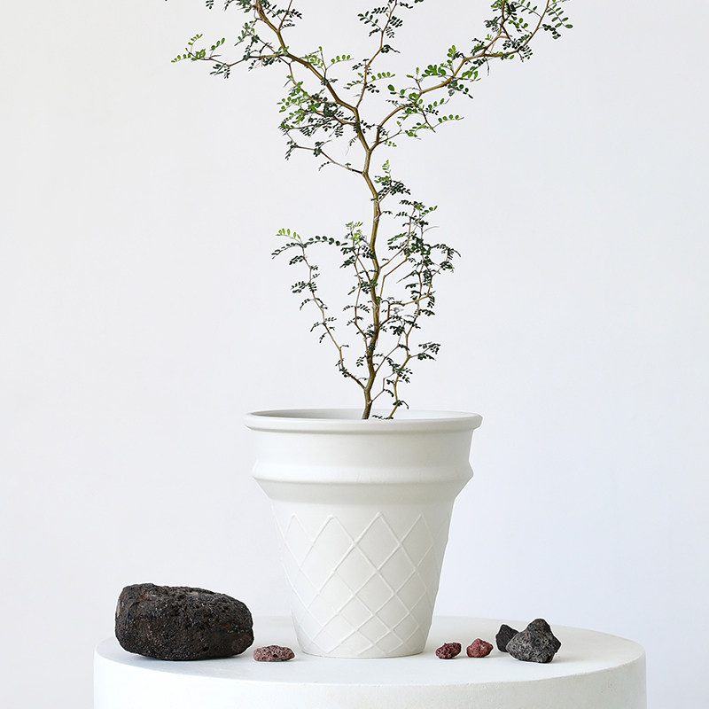 冰淇淋甜筒花盆陶瓷高脚绿植盆栽童话树陶盆蝴蝶兰套盆白色华夫格图片