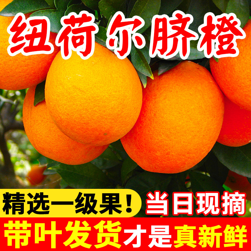 奉节脐橙赣南整箱重庆新鲜水果图片