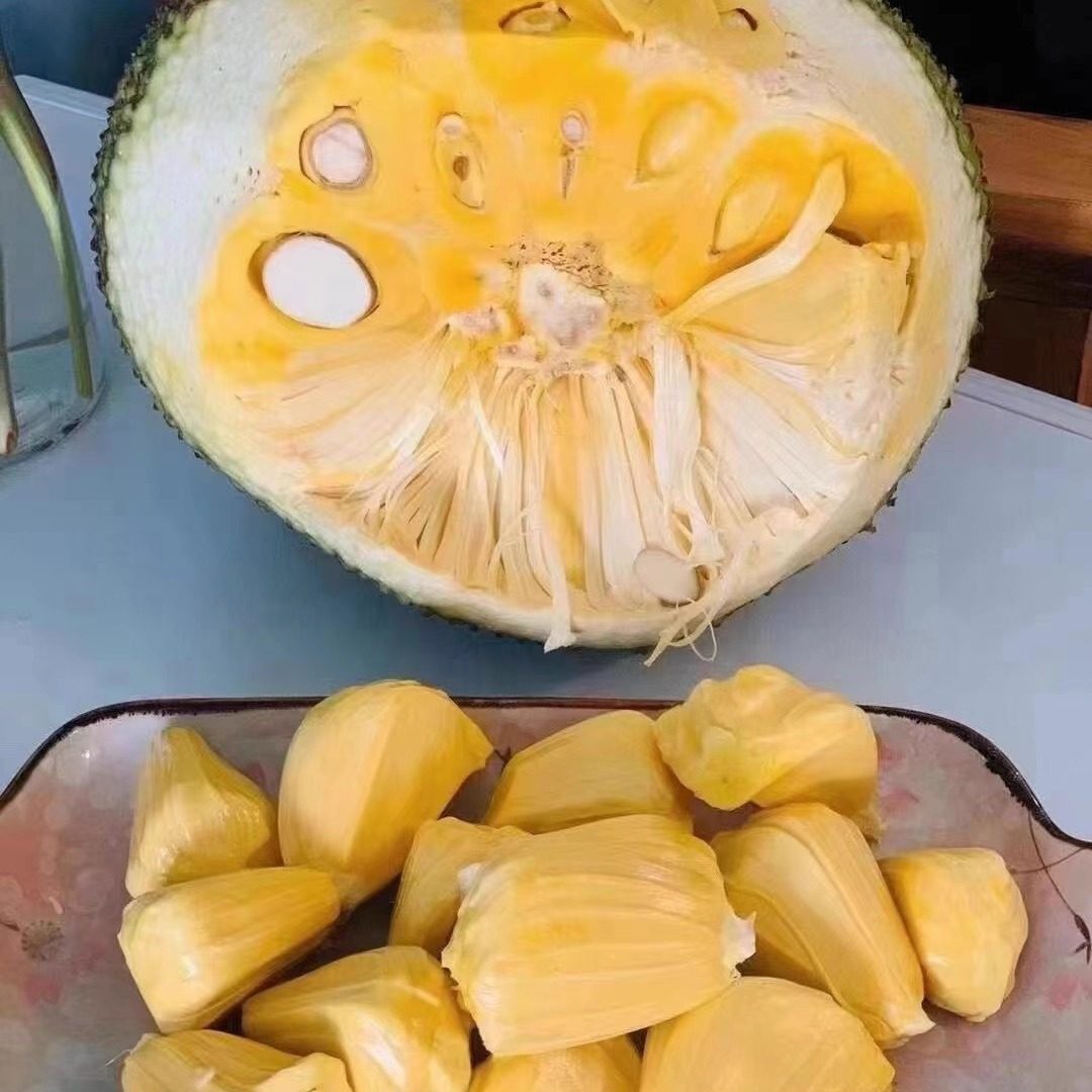 越南进口红肉菠萝蜜整个大果10-16斤新鲜水果热带水果48小时包邮,水产肉类/新鲜蔬果/熟食,菠萝蜜,淘宝优惠券,粉丝福利购,淘宝优惠卷